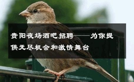 贵阳夜场酒吧招聘——为你提供无尽机会和激情舞台 