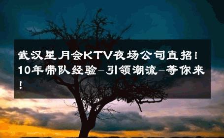 武汉星月会KTV夜场公司直招！10年带队经验-引领潮流-等你来！ 