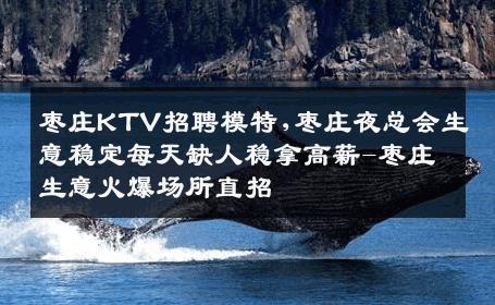 枣庄KTV招聘模特,枣庄夜总会生意稳定每天缺人稳拿高薪-枣庄生意火爆场所直招