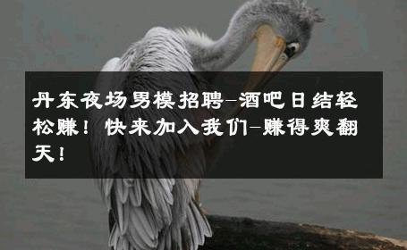 丹东夜场男模招聘-酒吧日结轻松赚！快来加入我们-赚得爽翻天！ 