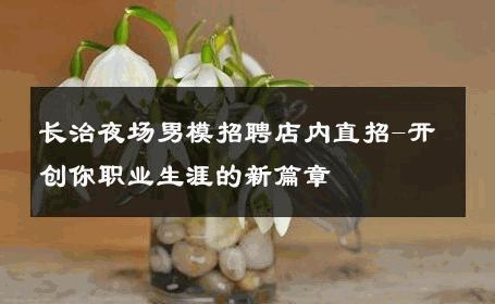 长治夜场男模招聘店内直招-开创你职业生涯的新篇章 