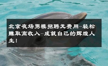 北京夜场男模招聘无费用-轻松赚取高收入-成就自己的辉煌人生！ 