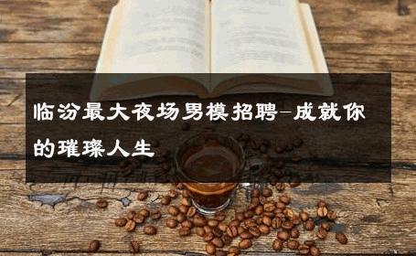 临汾最大夜场男模招聘-成就你的璀璨人生 