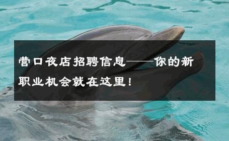 营口夜店招聘信息——你的新职业机会就在这里！ 