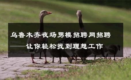 乌鲁木齐夜场男模招聘网招聘——让你轻松找到理想工作 