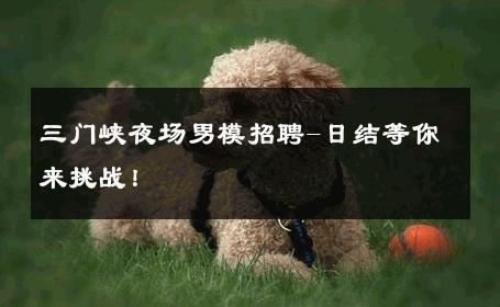 三门峡夜场男模招聘-日结等你来挑战！ 