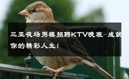 三亚夜场男模招聘KTV晚班-成就你的精彩人生！ 