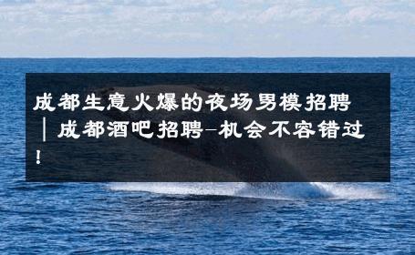 成都生意火爆的夜场男模招聘｜成都酒吧招聘-机会不容错过！ 