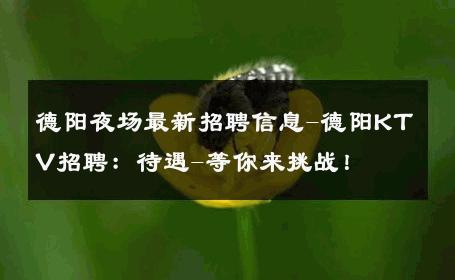 德阳夜场最新招聘信息-德阳KTV招聘：待遇-等你来挑战！ 