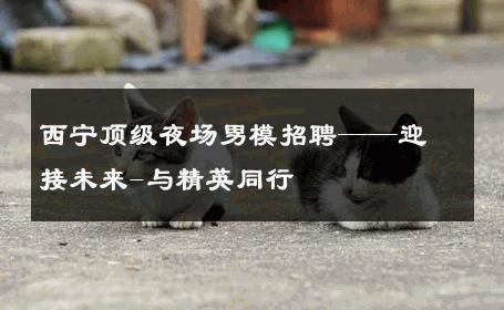 西宁顶级夜场男模招聘——迎接未来-与精英同行 