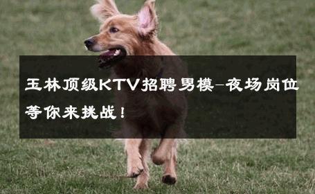 玉林顶级KTV招聘男模-夜场岗位等你来挑战！ 
