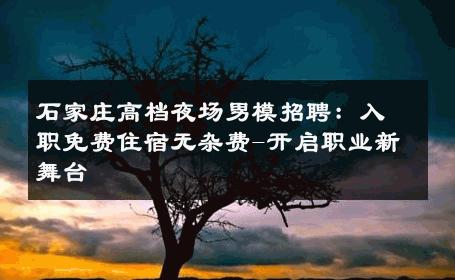 石家庄高档夜场男模招聘：入职免费住宿无杂费-开启职业新舞台 