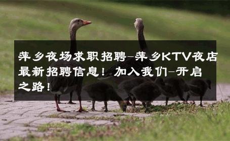萍乡夜场求职招聘-萍乡KTV夜店最新招聘信息！加入我们-开启之路！ 