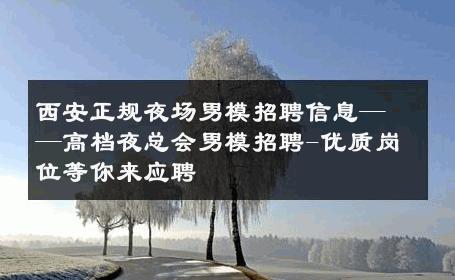 西安正规夜场男模招聘信息——高档夜总会男模招聘-优质岗位等你来应聘 