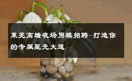 莱芜高端夜场男模招聘-打造你的专属星光大道 