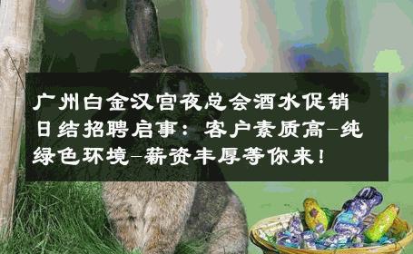 广州白金汉宫夜总会酒水促销日结招聘启事：客户素质高-纯绿色环境-薪资丰厚等你来！ 