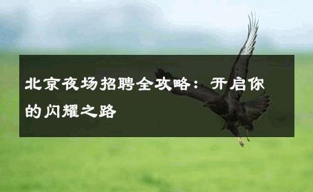 北京夜场招聘全攻略：开启你的闪耀之路 