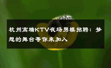杭州高端KTV夜场男模招聘：梦想的舞台等你来加入 
