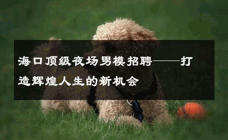 海口顶级夜场男模招聘——打造辉煌人生的新机会 