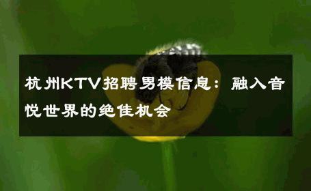 杭州KTV招聘男模信息：融入音悦世界的绝佳机会 