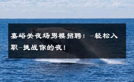嘉峪关夜场男模招聘：-轻松入职-挑战你的夜！ 