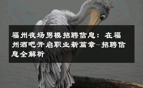福州夜场男模招聘信息：在福州酒吧开启职业新篇章-招聘信息全解析 