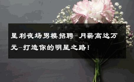 垦利夜场男模招聘-月薪高达万元-打造你的明星之路！ 
