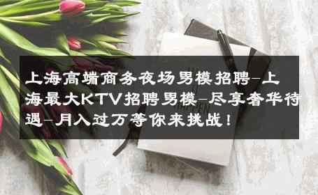 上海高端商务夜场男模招聘-上海最大KTV招聘男模-尽享奢华待遇-月入过万等你来挑战！ 