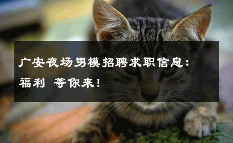 广安夜场男模招聘求职信息：福利-等你来！ 