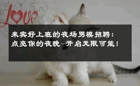 来宾好上班的夜场男模招聘：点亮你的夜晚-开启无限可能！ 