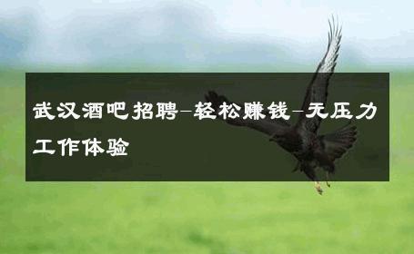 武汉酒吧招聘-轻松赚钱-无压力工作体验 