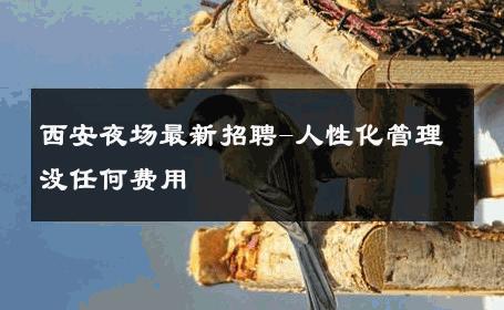 西安夜场最新招聘-人性化管理没任何费用 