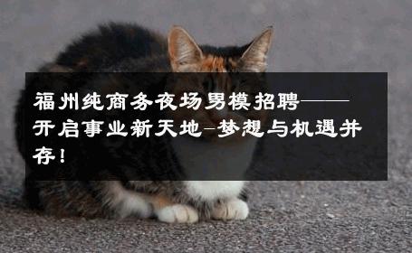 福州纯商务夜场男模招聘——开启事业新天地-梦想与机遇并存！ 