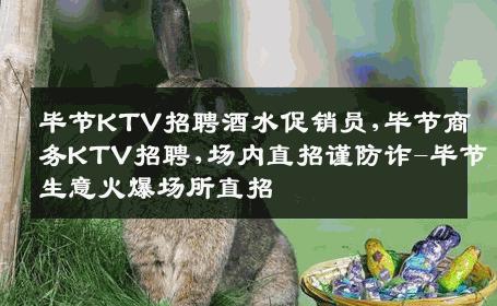 毕节KTV招聘酒水促销员,毕节商务KTV招聘,场内直招谨防诈-毕节生意火爆场所直招