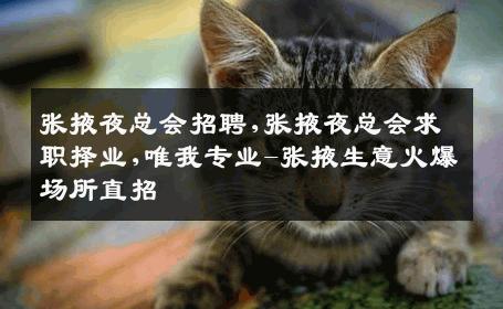 张掖夜总会招聘,张掖夜总会求职择业,唯我专业-张掖生意火爆场所直招