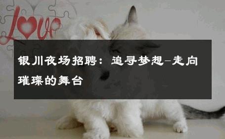 银川夜场招聘：追寻梦想-走向璀璨的舞台 
