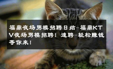 福鼎夜场男模招聘日结-福鼎KTV夜场男模招聘！速聘-轻松赚钱等你来！ 