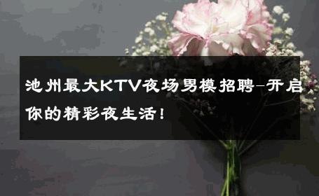 池州最大KTV夜场男模招聘-开启你的精彩夜生活！ 