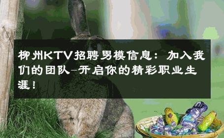 柳州KTV招聘男模信息：加入我们的团队-开启你的精彩职业生涯！ 