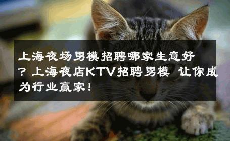 上海夜场男模招聘哪家生意好？上海夜店KTV招聘男模-让你成为行业赢家！ 