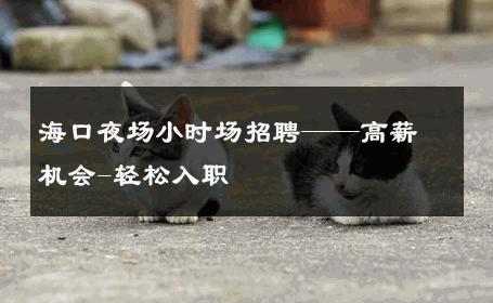 海口夜场小时场招聘——高薪机会-轻松入职 