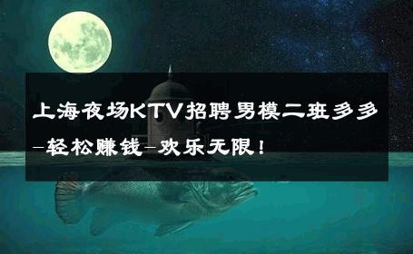 上海夜场KTV招聘男模二班多多-轻松赚钱-欢乐无限！ 