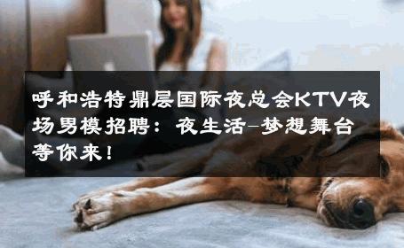 呼和浩特鼎层国际夜总会KTV夜场男模招聘：夜生活-梦想舞台等你来！ 