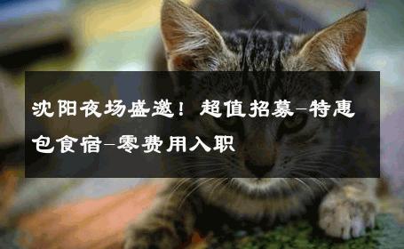 沈阳夜场盛邀！超值招募-特惠包食宿-零费用入职 