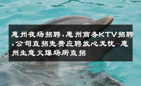 惠州夜场招聘,惠州商务KTV招聘,公司直招免费应聘放心无忧-惠州生意火爆场所直招