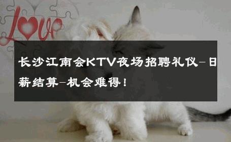 长沙江南会KTV夜场招聘礼仪-日薪结算-机会难得！ 