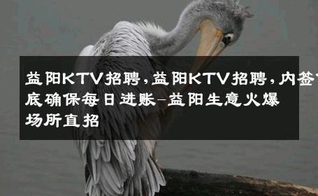 益阳KTV招聘,益阳KTV招聘,内签保底确保每日进账-益阳生意火爆场所直招