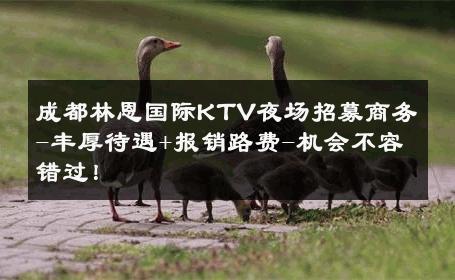 成都林恩国际KTV夜场招募商务-丰厚待遇+报销路费-机会不容错过！ 