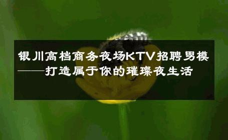 银川高档商务夜场KTV招聘男模——打造属于你的璀璨夜生活 