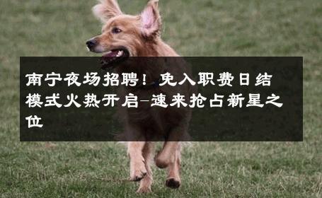 南宁夜场招聘！免入职费日结模式火热开启-速来抢占新星之位 